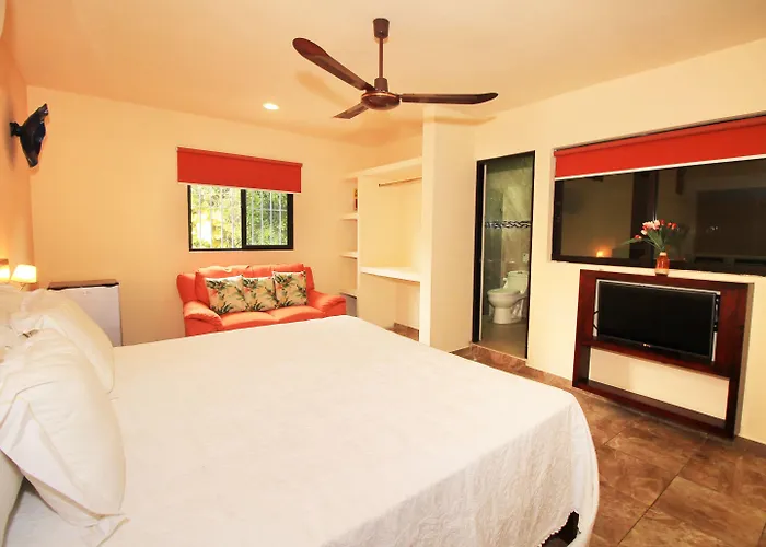 Hotel Papagayo Boutique Playa del Carmen